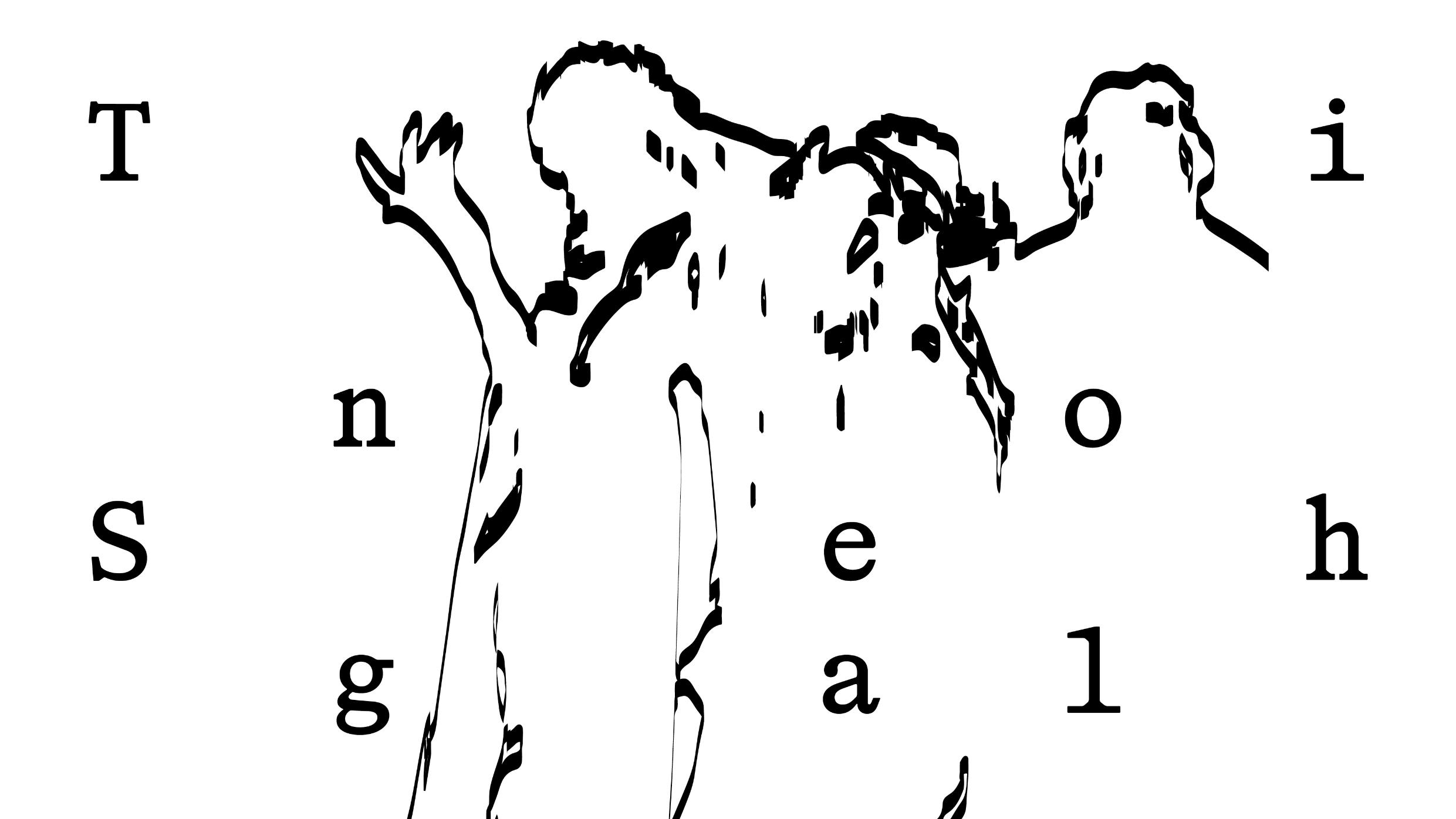 [멤버십] 《티노 세갈》 멤버스 프리뷰